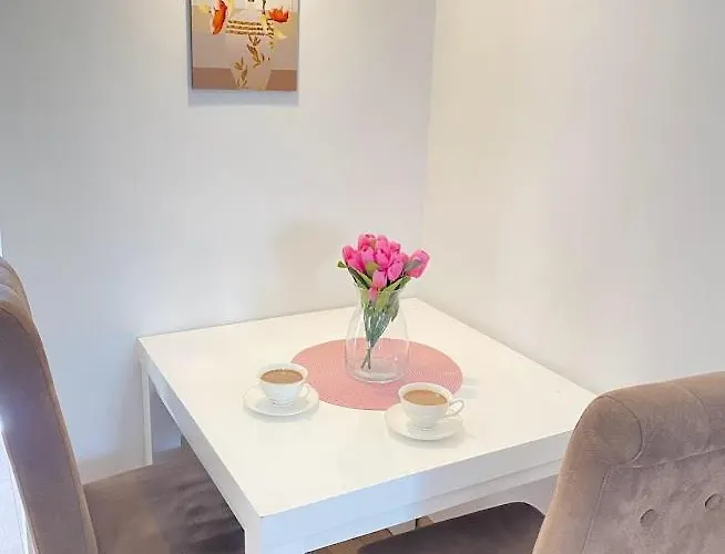 Mina Apartment Mataruska Banja