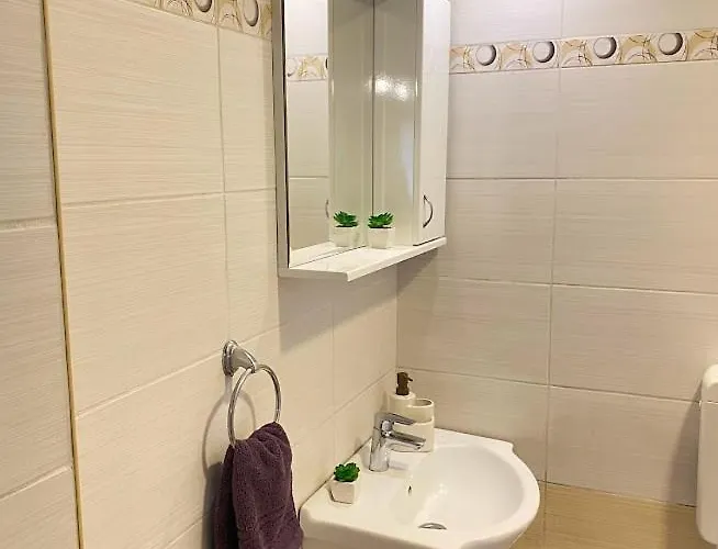 Apartment Mina Mataruska Banja